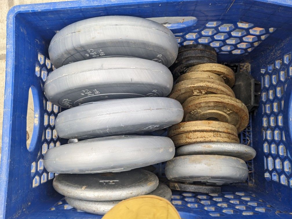 Weights For Lifting, Dumbbells, Weight Bench