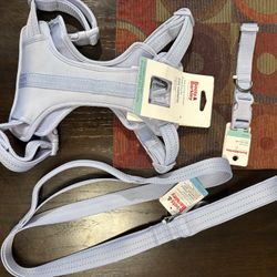 Dog Harness Leash Collar Set Up