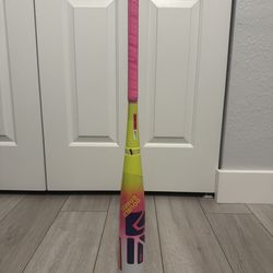 Brand New Easton Dub Baseball Bat 29” Drop -10
