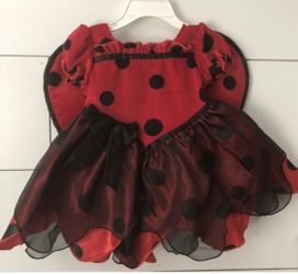 Baby lady bug costume