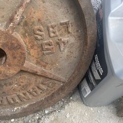 Gym pesas baratas oferta