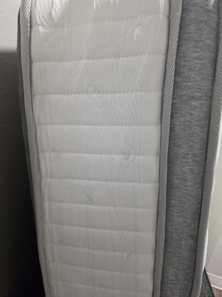 Pilow Top Queen Bed