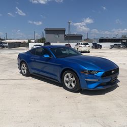 2019 Ford Mustang 