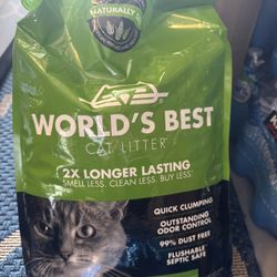 Cat Stuff 