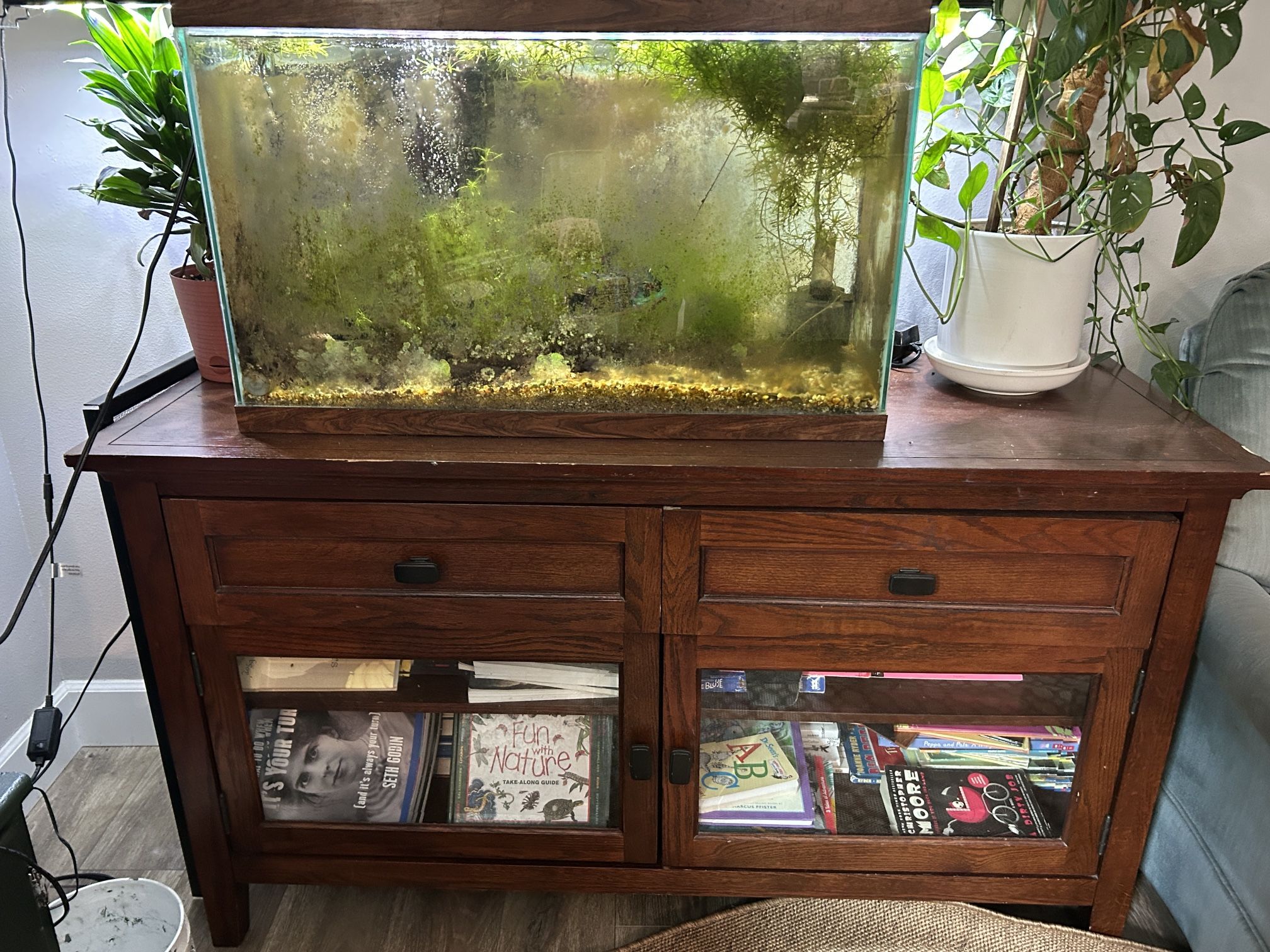Fish tank, Accessories and Cabinet