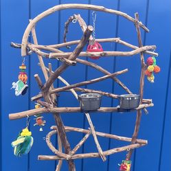 African Grey / Amazon Parrot Perch Tree !! A Great Artsy / Rustic Look…. Breeder Direct Low Price … Yes We Deliver ✅