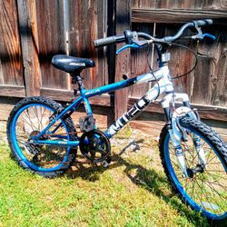 BCA 20" MT20 Mountain Boy's Bike, Blue/White

