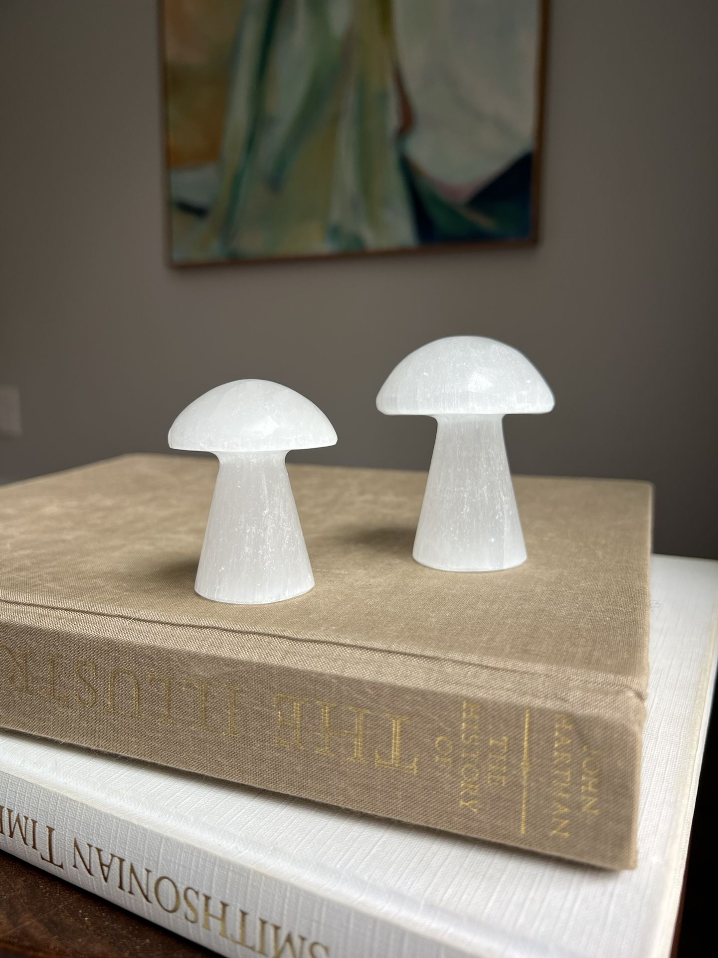 Set Of 2 Small Selenite Mushroom Carvings ( firm on price )