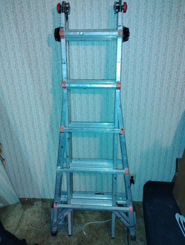 Little Giant Ladder 22'