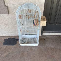 Bird Cage
