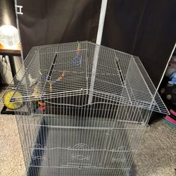 Nice Bird Cage