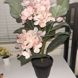 Fake Plant 