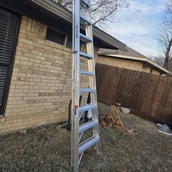 Ladder 10ft