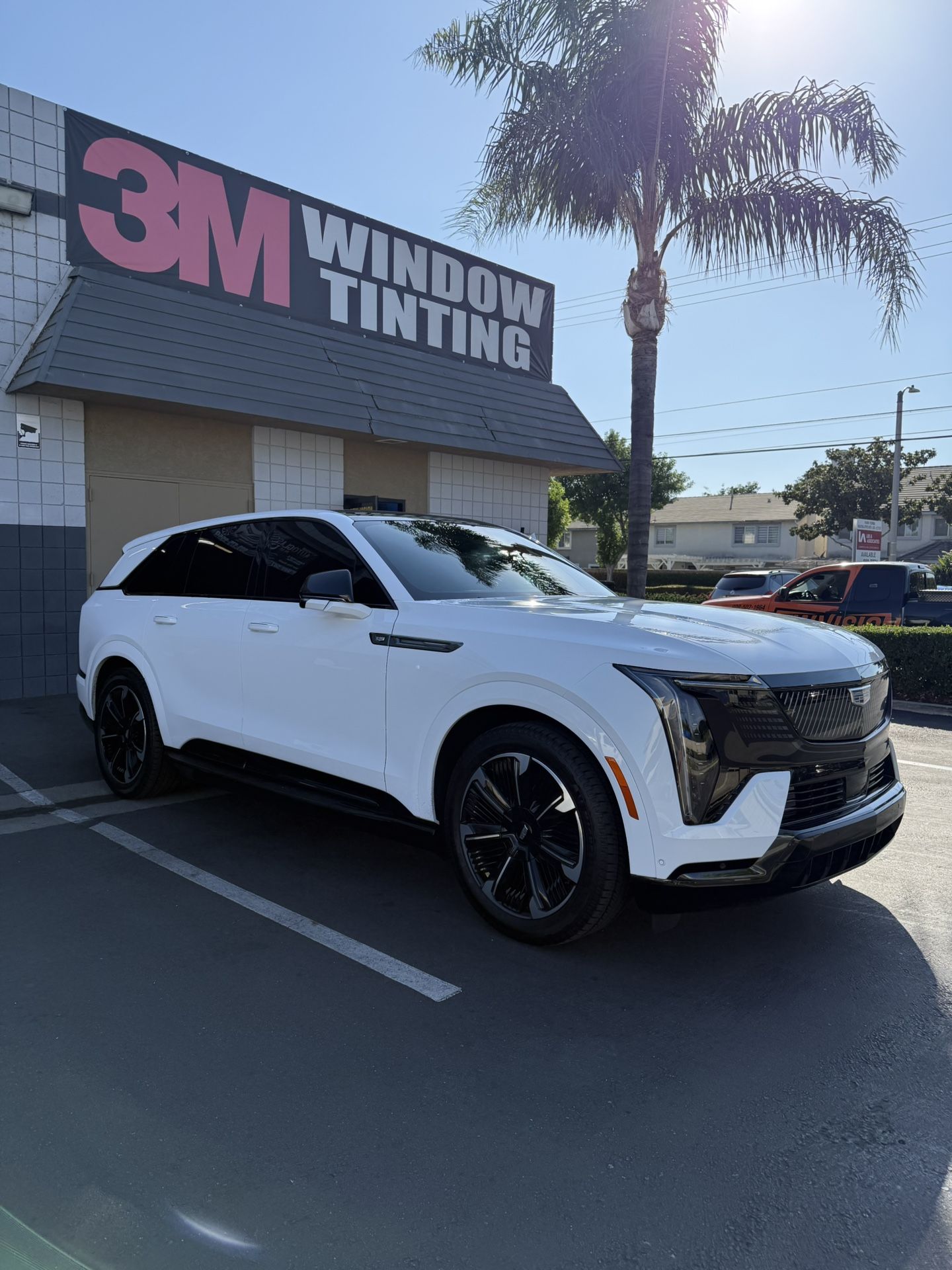 Tint For Sale