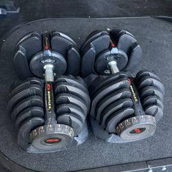 Bowflex 1090 Dumbbells