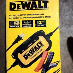 DeWalt Jumper Box
