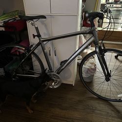 Trek 26 Inch Racing Bike In Great Condition Some Scuffs Asking 225  Tires Rims Seat Still Like New Need Gone 