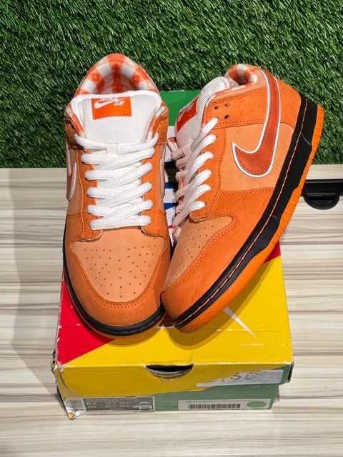 NIKE DUNK SB ORANGE LOBSTER