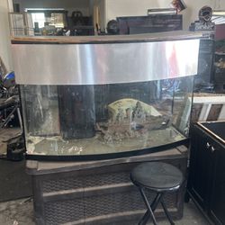 94 Gallon Fish Tank 