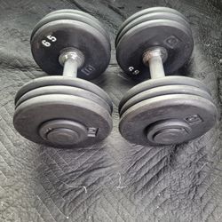 65lbs Dumbells Weights 