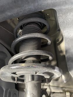 Mustang 2015-2020 Stock Springs