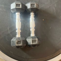 5 Lb Dumbbells