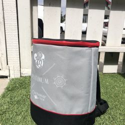 Rare Disney Cooler Backpack Platinum Castaway Club