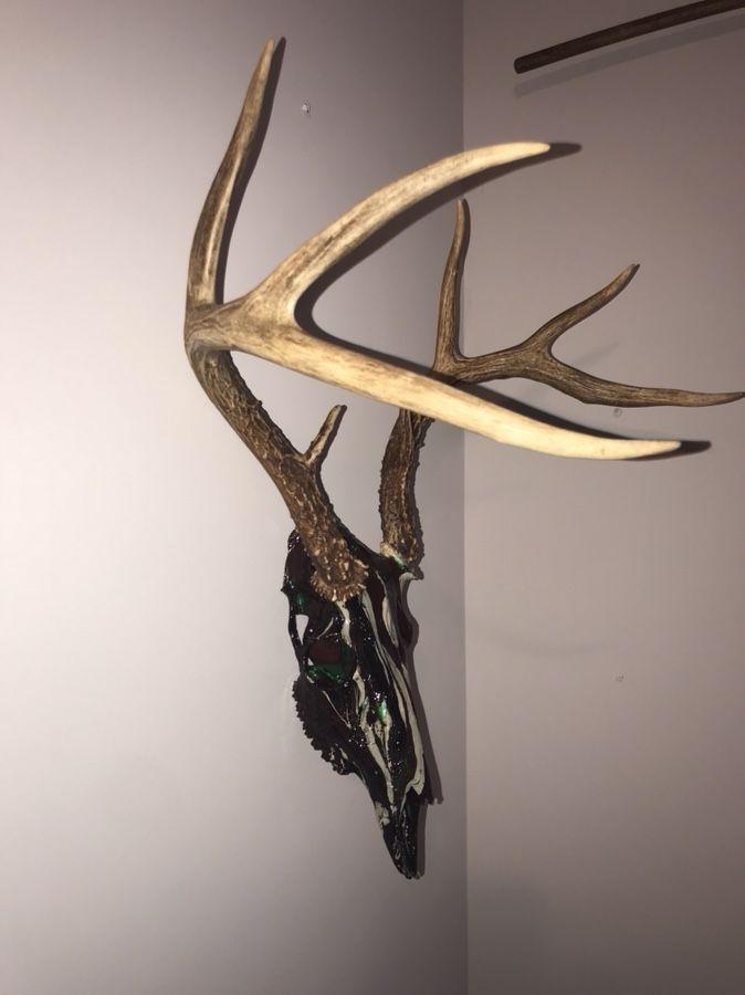 Hydro-Dipped Deer Skull