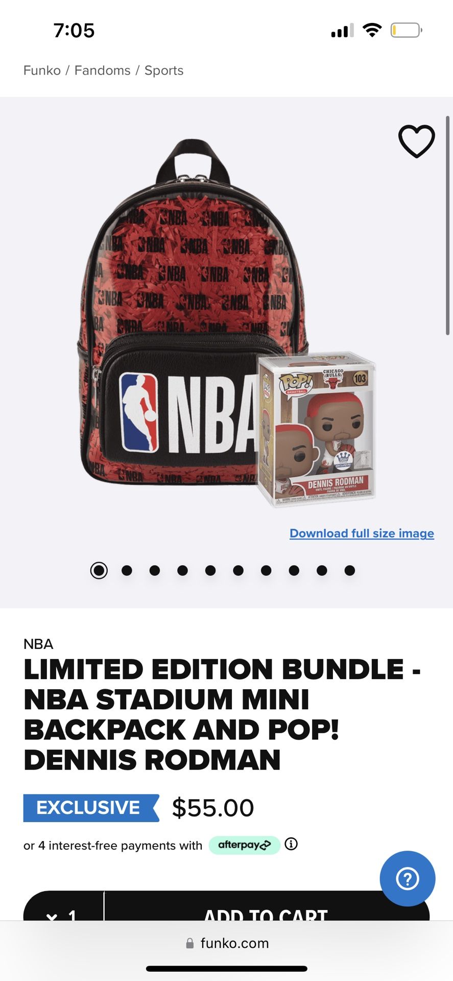 Funko Pop! Exclusive Dennis Rodman and NBA Stadium Bag