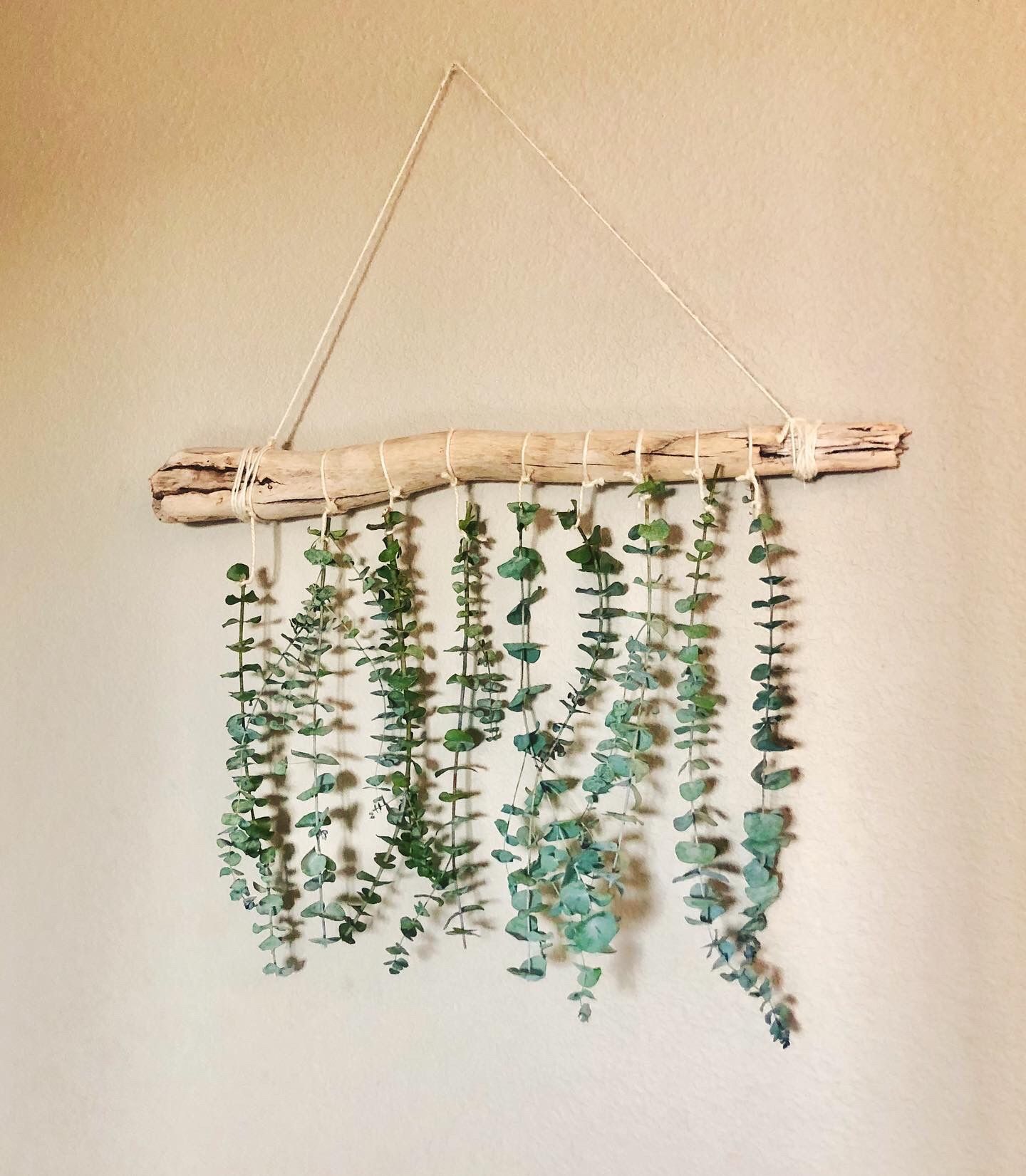 Eucalyptus Hanging Wall Decor