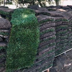 Grass And Sprinklers $3 Per Sq / Ft 