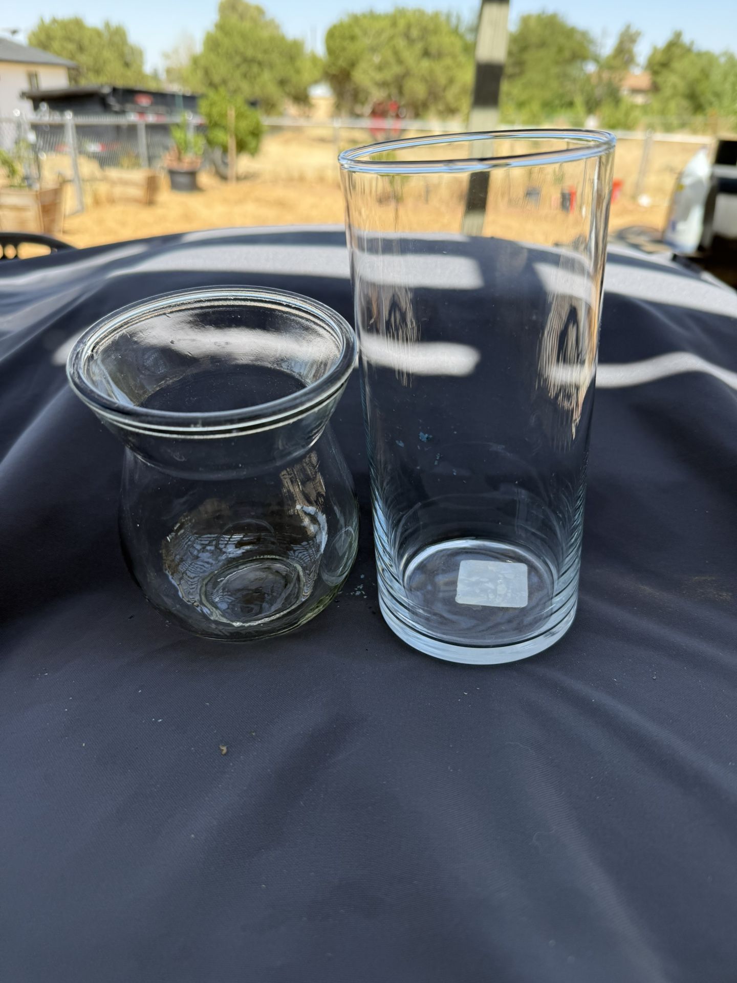 Small Clear Flower Vase