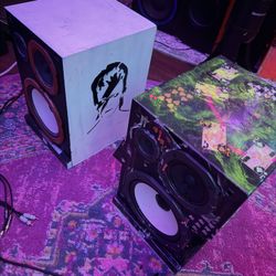 JBL D38 Custom Party Speakers 