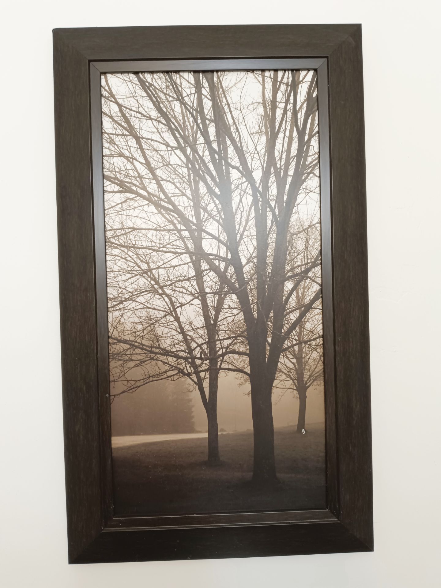 Wall art
