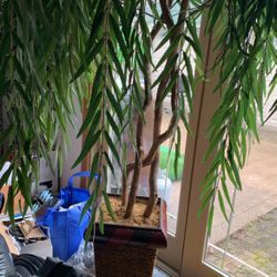 Plastic Tree