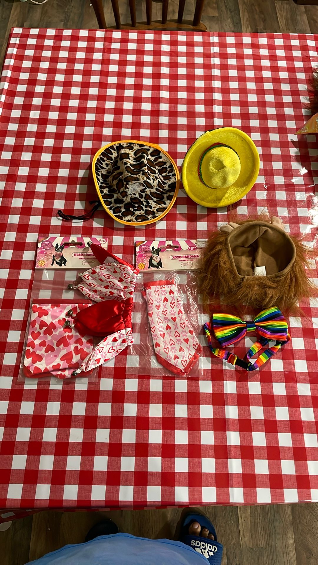 Holloween Dog Accesorios 