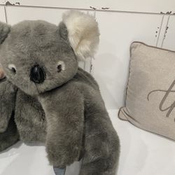 KOALA BEAR BACK PK
