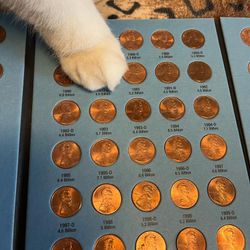 Pennies Collector Look The Descriptions 