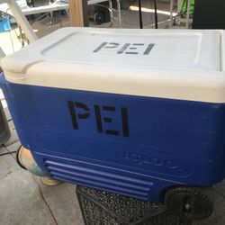 IGLOO COOLER 