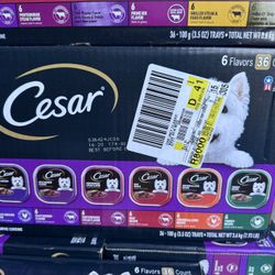 Cesar Dog Food — 36 Counts Boxes