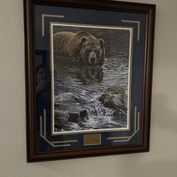 Bear Picture 