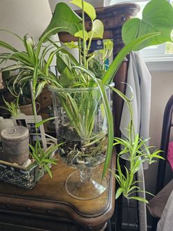 Hermosa  Convinacion En Agua