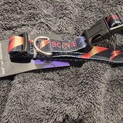 David Bowie Dog Collar