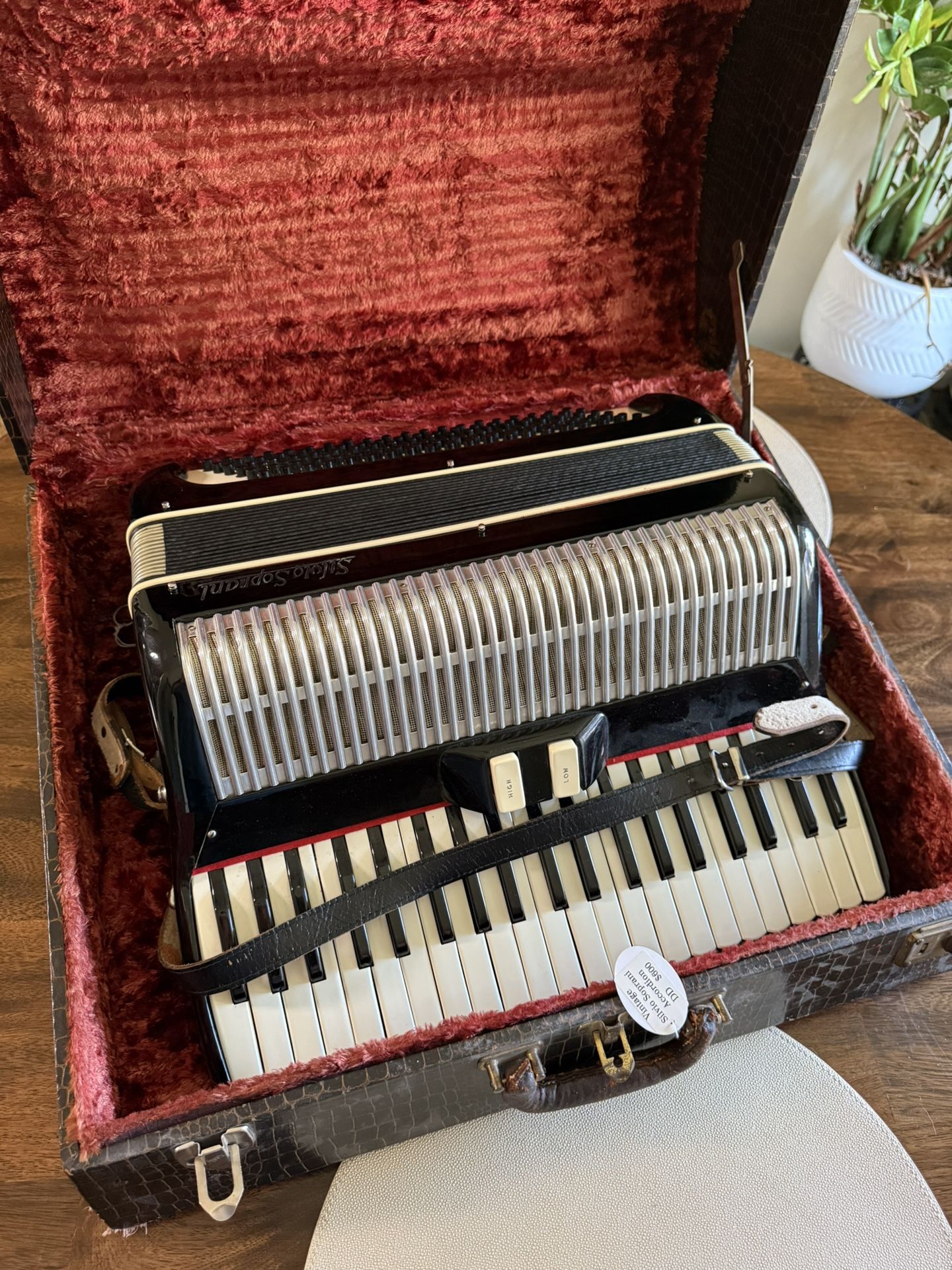 Silvio Soprani Vintage Accordion