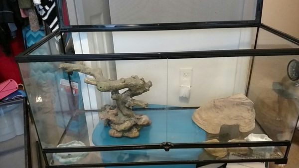 A front door bearded dragon tank 120 gallons for Sale in