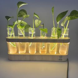 plant propagation station with light
