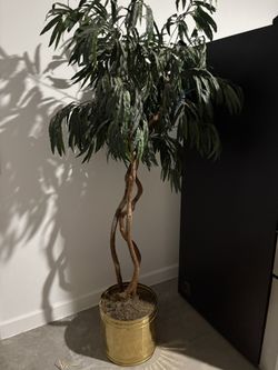 Tree Decor
