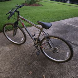 Road master 10 Speed 