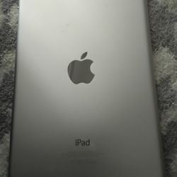 Ipad Mini 