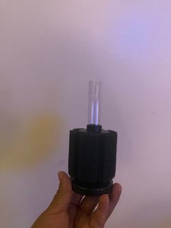 Sponge filter